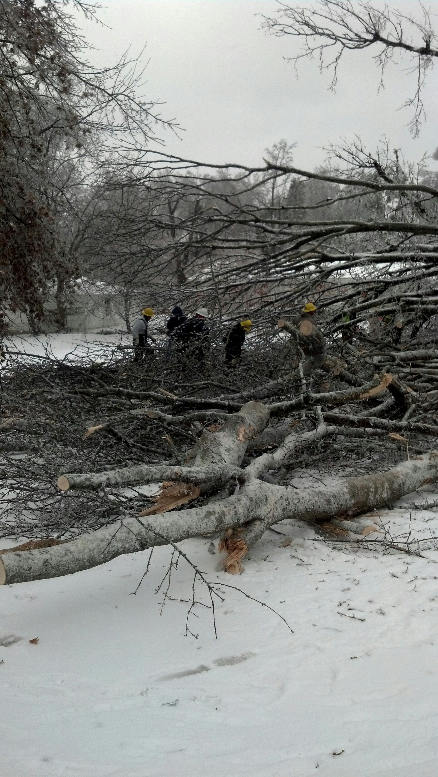 MILLINGTON STORM DEBRIS